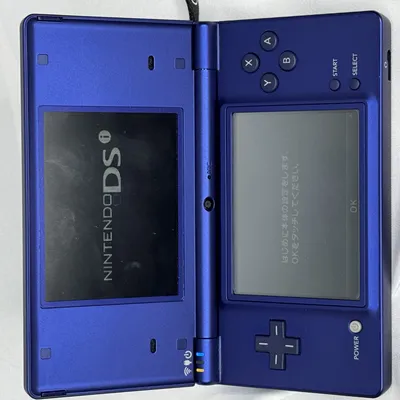 ニンテンドーDSi
